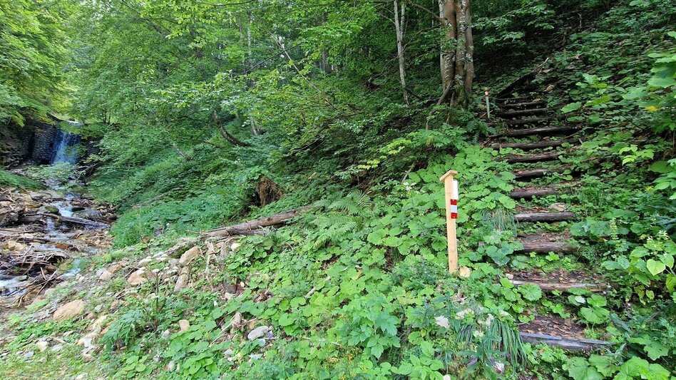 Mountain Hike Leobner - Blaseneck Runde - Touren-Impression #2.18 | © TV Gesäuse