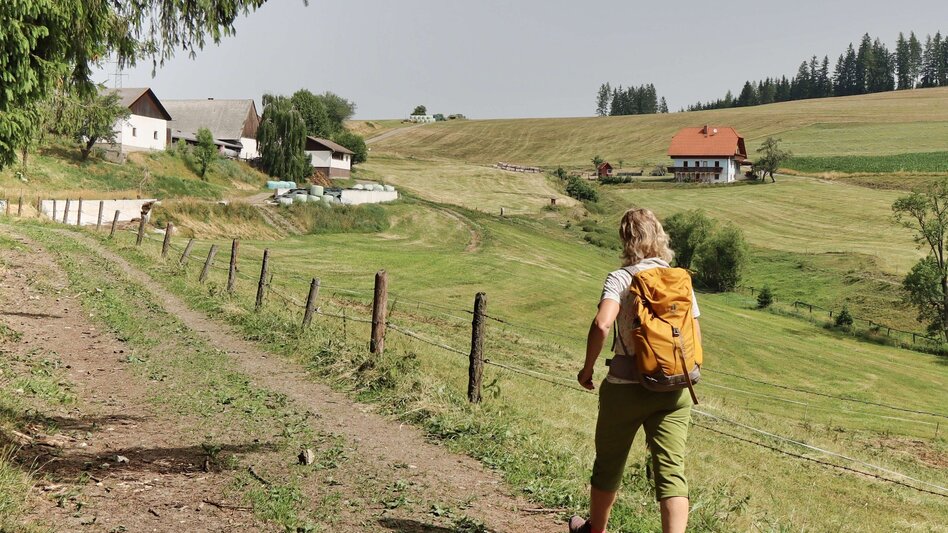 Hiking route Styrian Iron Trail -  Umgehungsstrecke für die 1. Etappe St.Michael - Ulrichskirche / Seiz - Touren-Impression #2.8 | © Weges OG