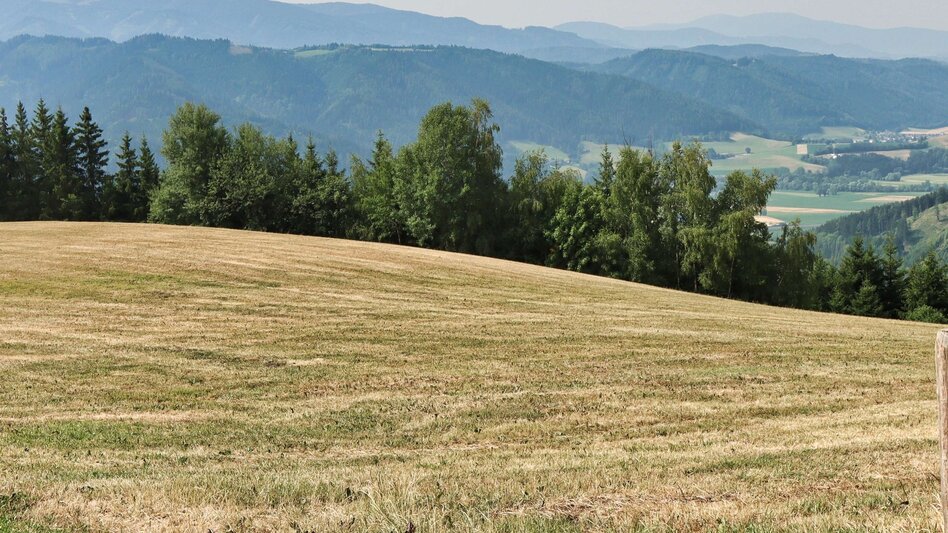 Hiking route Styrian Iron Trail -  Umgehungsstrecke für die 1. Etappe St.Michael - Ulrichskirche / Seiz - Touren-Impression #2.9 | © Weges OG