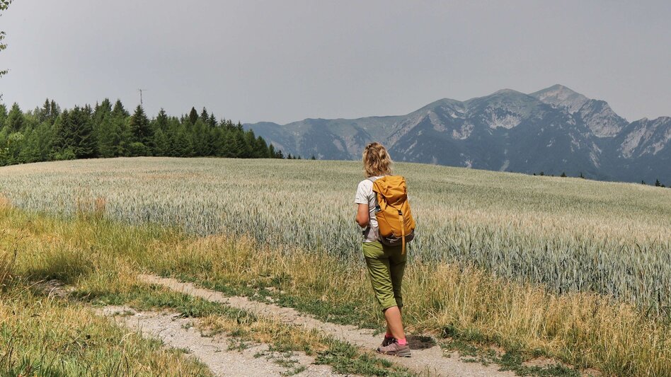 Hiking route Styrian Iron Trail -  Umgehungsstrecke für die 1. Etappe St.Michael - Ulrichskirche / Seiz - Touren-Impression #2.12 | © Weges OG