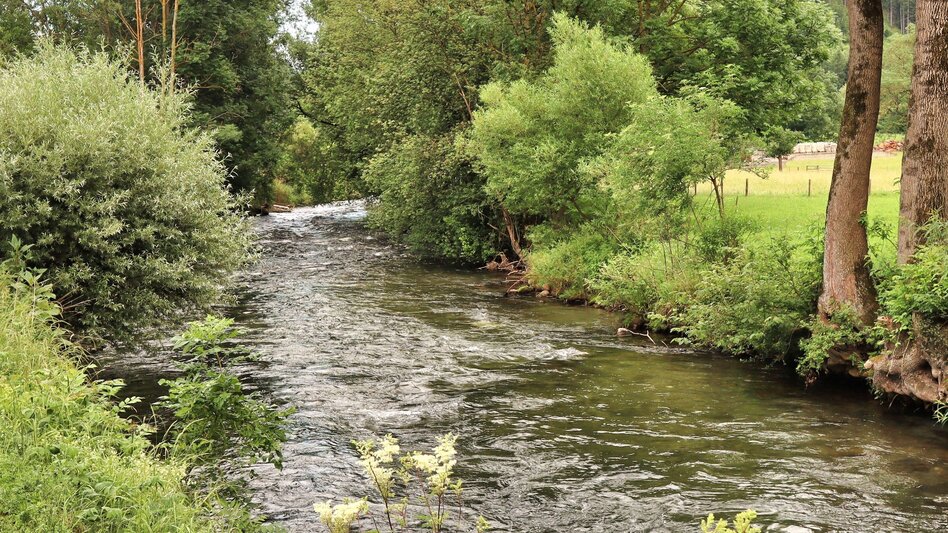 Hiking route Styrian Iron Trail -  Umgehungsstrecke für die 1. Etappe St.Michael - Ulrichskirche / Seiz - Touren-Impression #2.17 | © Weges OG