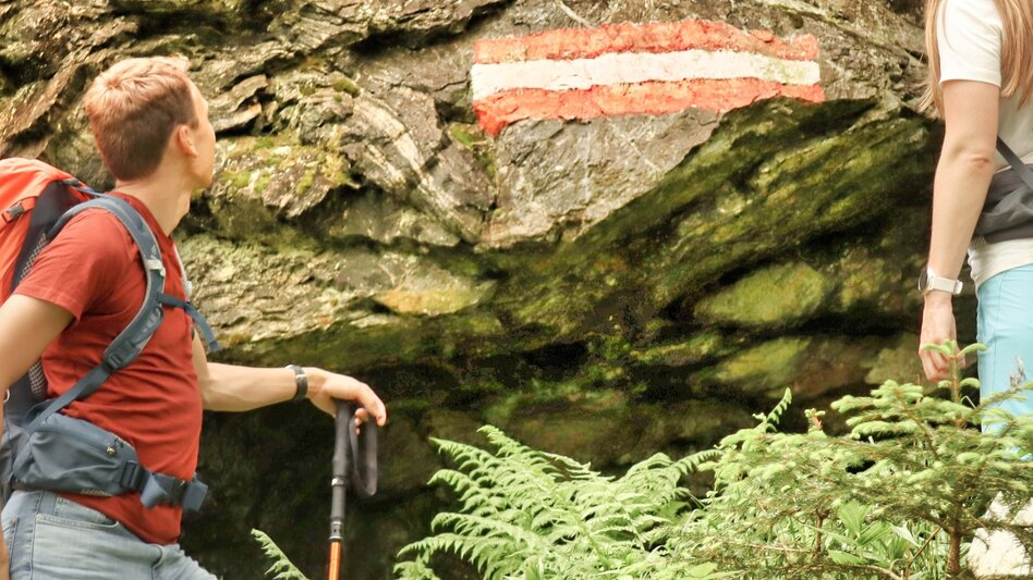 Wanderung Styrian Iron Trail - Umgehungsstrecke für die 10.Etappe Niklasdorf - Leoben - Touren-Impression #2.9 | © Weges OG