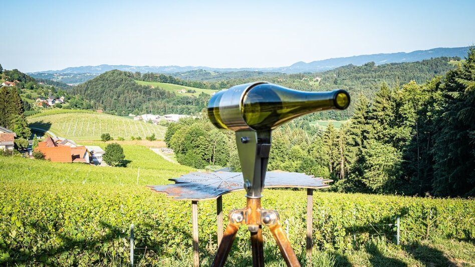 Theme path Erlebnis Schilcher Weinwelt - Touren-Impression #2.1 | © TVB/Südsteiermark/Jöbstl