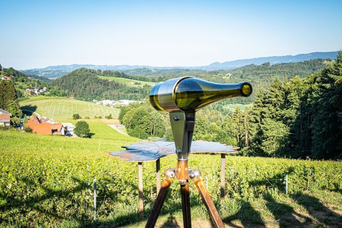 Theme path Erlebnis Schilcher Weinwelt - Touren-Impression #1 | © TVB/Südsteiermark/Jöbstl