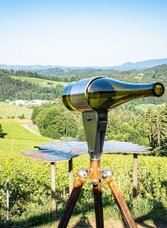 Ausblick in den Weingarten | © TVB/Südsteiermark/Jöbstl | Jöbstl | © TVB/Südsteiermark/Jöbstl