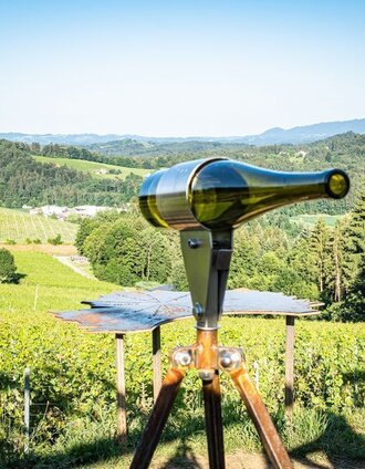 Ausblick in den Weingarten | Jöbstl | © TVB/Südsteiermark/Jöbstl