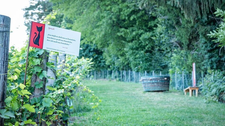 Theme path Erlebnis Schilcher Weinwelt - Touren-Impression #2.3 | © TVB/Südsteiermark/Jöbstl