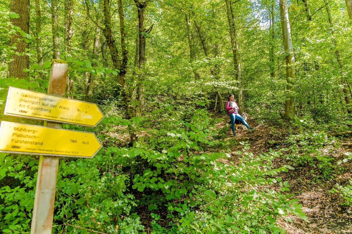 Hiking route Fürstenstand - head up high - Touren-Impression #1 | © Graz Tourismus