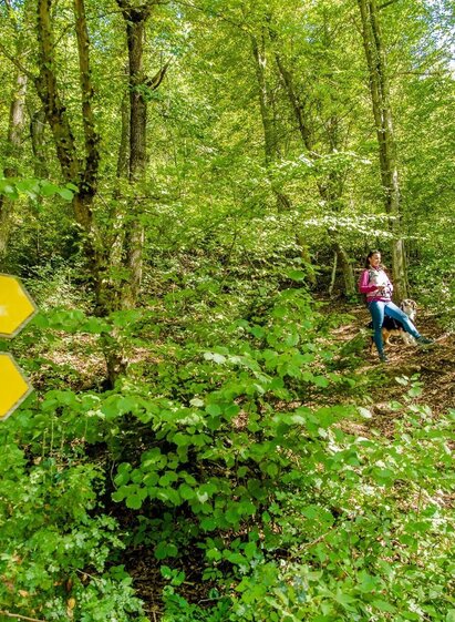 Unterwegs zum Fürstenstand | © Graz Tourismus | Mias Photoart | © Graz Tourismus