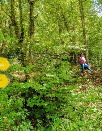 Unterwegs zum Fürstenstand | Mias Photoart | © Graz Tourismus