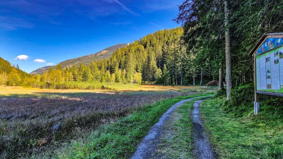 Hiking route Moorrunde Oppenberg - Touren-Impression #2.1 | © TV Gesäuse