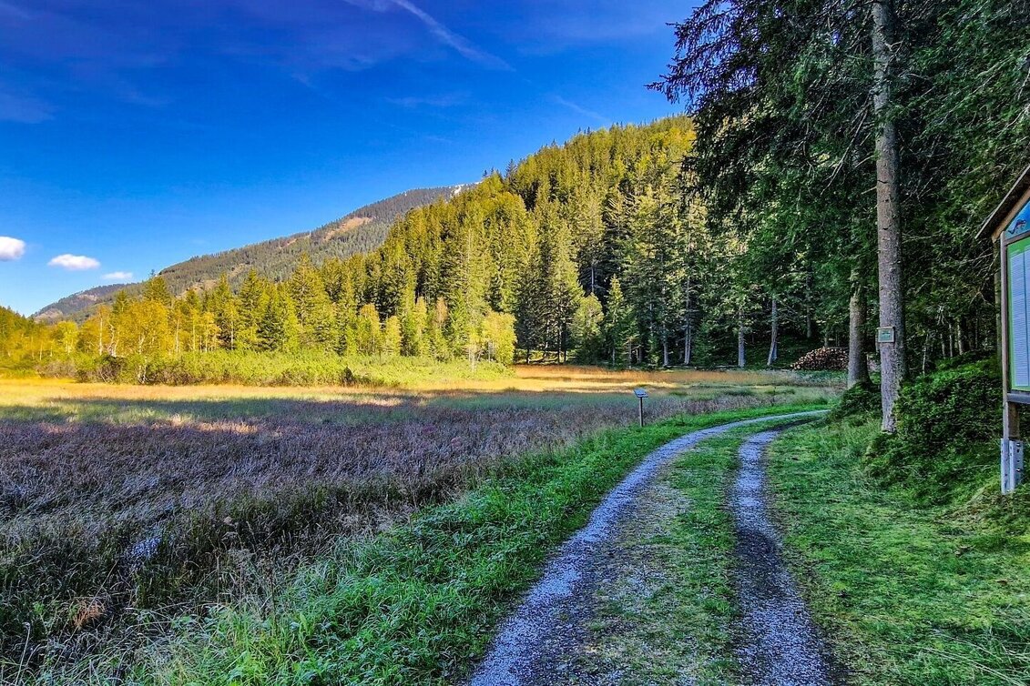 Hiking route Moorrunde Oppenberg - Touren-Impression #1 | © TV Gesäuse