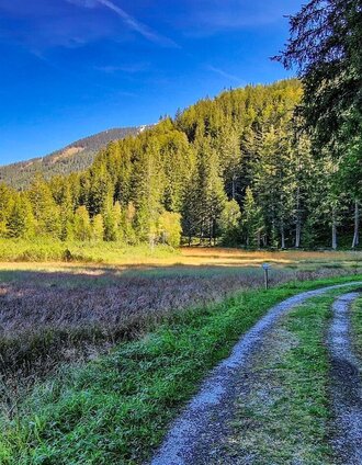 Infotafel Moorweg | Tourismusverband Gesäuse | © TV Gesäuse