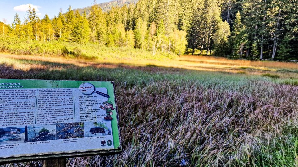 Hiking route Moorrunde Oppenberg - Touren-Impression #2.2 | © TV Gesäuse