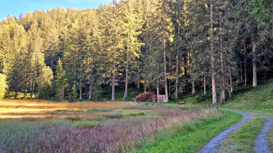 Hiking route Moorrunde Oppenberg - Touren-Impression #2.3 | © TV Gesäuse