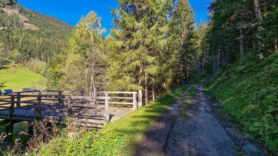 Hiking route Moorrunde Oppenberg - Touren-Impression #2.4 | © TV Gesäuse