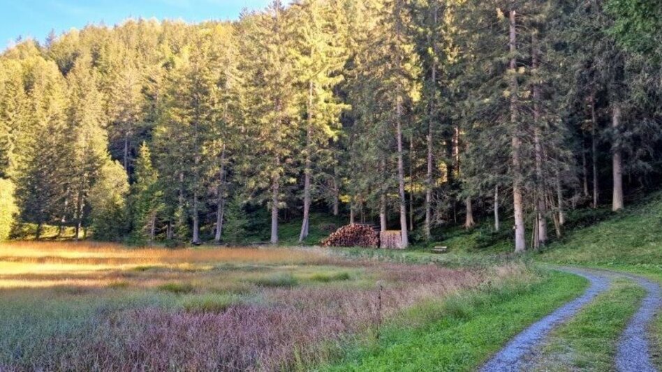 Hiking route Moorrunde Oppenberg - Touren-Impression #2.5 | © TV Gesäuse