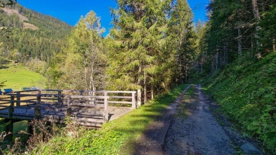 Hiking route Moorrunde Oppenberg - Touren-Impression #2.7 | © TV Gesäuse