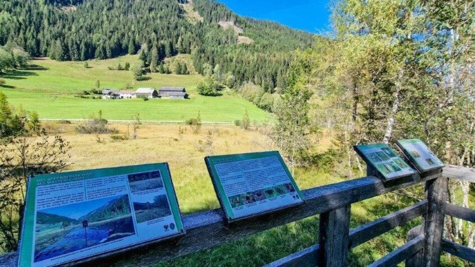 Hiking route Moorrunde Oppenberg - Touren-Impression #2.8 | © TV Gesäuse