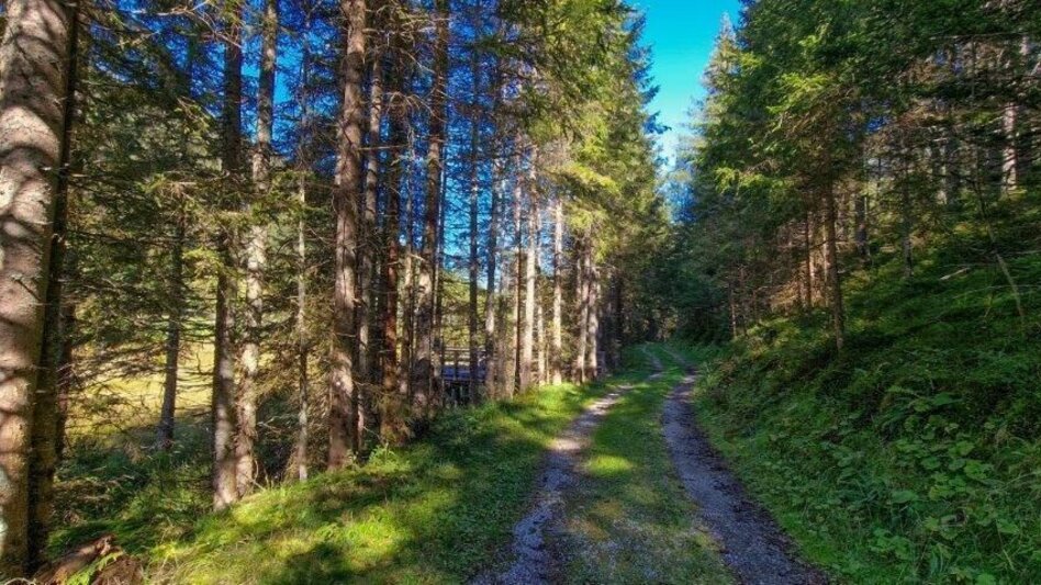 Hiking route Moorrunde Oppenberg - Touren-Impression #2.10 | © TV Gesäuse