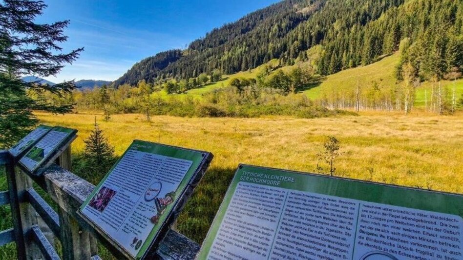 Hiking route Moorrunde Oppenberg - Touren-Impression #2.11 | © TV Gesäuse