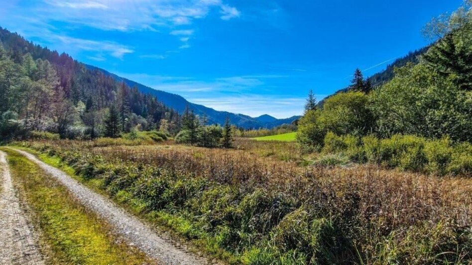 Hiking route Moorrunde Oppenberg - Touren-Impression #2.12 | © TV Gesäuse