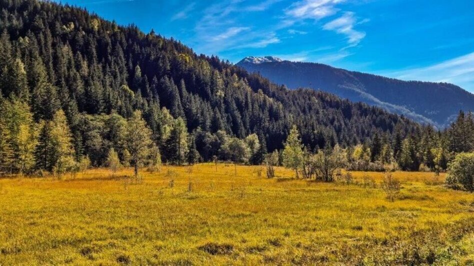 Hiking route Moorrunde Oppenberg - Touren-Impression #2.13 | © TV Gesäuse