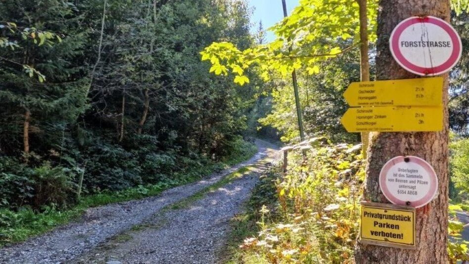 Hiking route Schūttkogel - Touren-Impression #2.1 | © TV Gesäuse