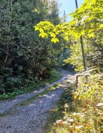 Start | Tourismusverband Gesäuse | © TV Gesäuse