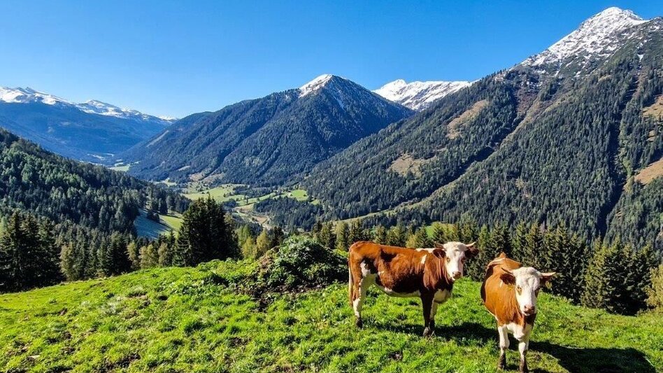 Hiking route Schūttkogel - Touren-Impression #2.3 | © TV Gesäuse
