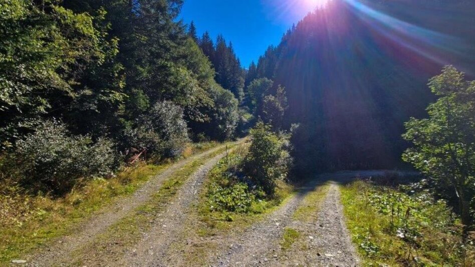 Hiking route Schūttkogel - Touren-Impression #2.4 | © TV Gesäuse