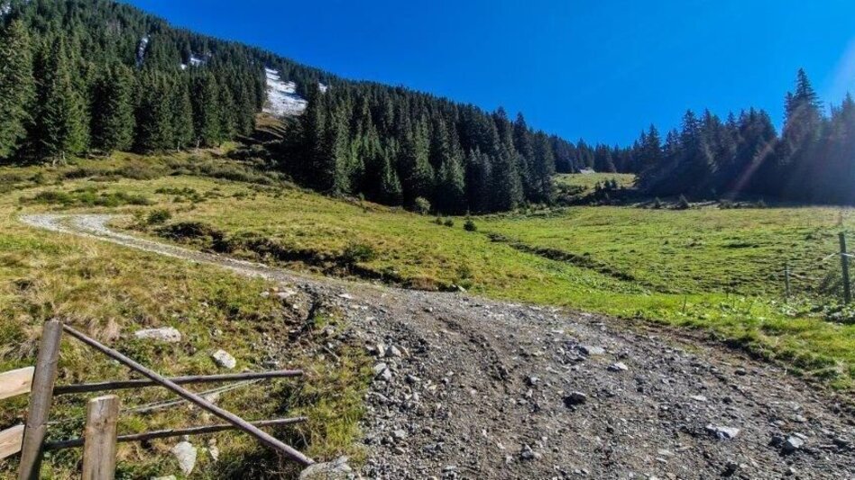 Hiking route Schūttkogel - Touren-Impression #2.5 | © TV Gesäuse