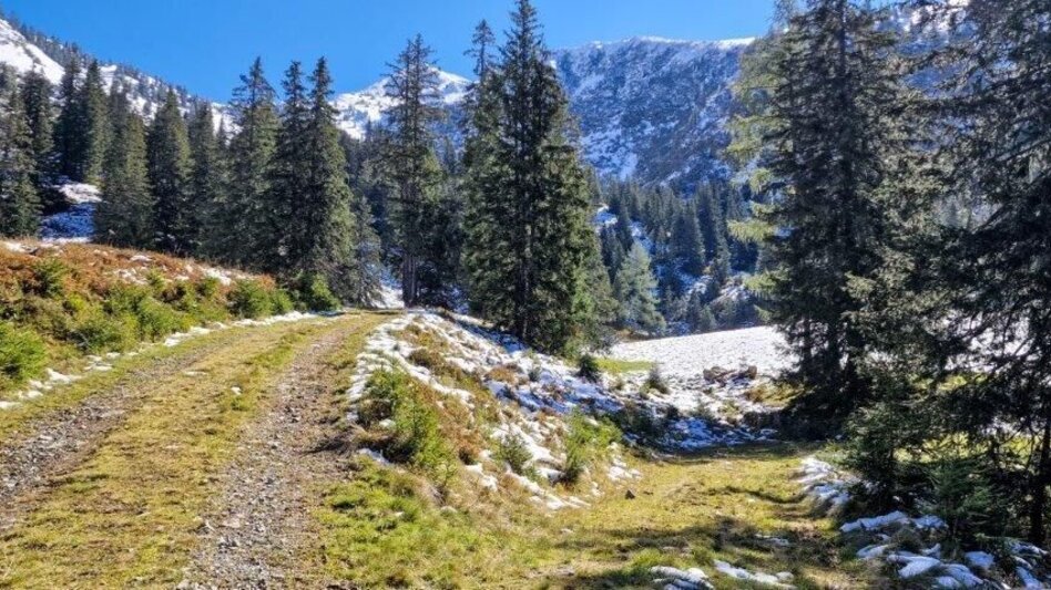 Hiking route Schūttkogel - Touren-Impression #2.7 | © TV Gesäuse