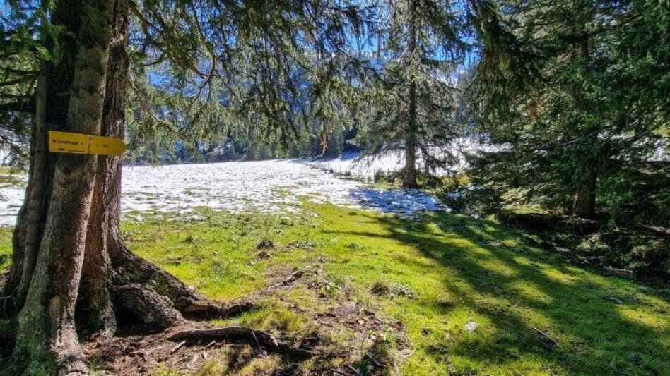 Hiking route Schūttkogel - Touren-Impression #2.8 | © TV Gesäuse