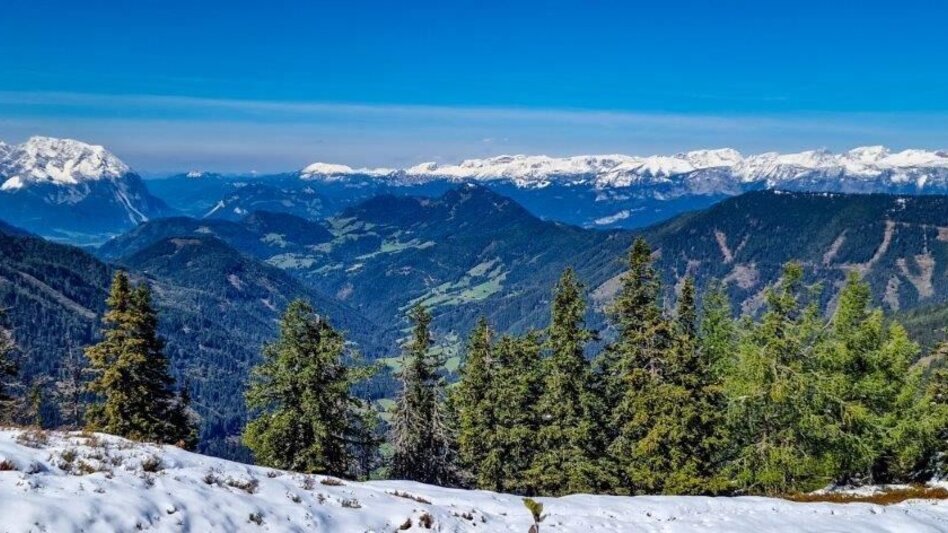 Hiking route Schūttkogel - Touren-Impression #2.10 | © TV Gesäuse