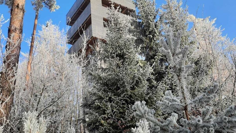 Winterwandern G.E.R.A. Park-Rundweg im Winter, Eichberg - Touren-Impression #2.1 | © Oststeiermark Tourismus