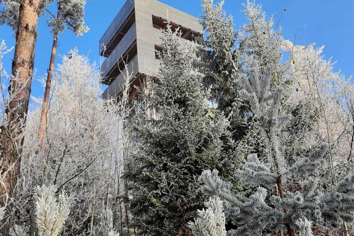 Winterwandern G.E.R.A. Park-Rundweg im Winter, Eichberg - Touren-Impression #1 | © Oststeiermark Tourismus