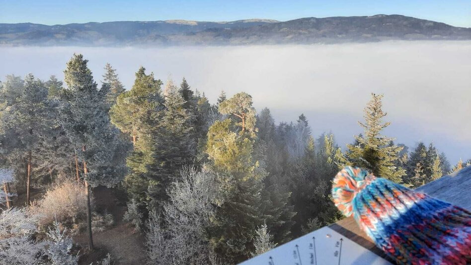 Winterwandern G.E.R.A. Park-Rundweg im Winter, Eichberg - Touren-Impression #2.2 | © Oststeiermark Tourismus