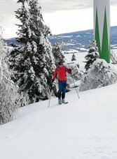 Auf Höhe des Windrades zum Gipfel | © Region Graz | Christine Rotschädl | © Region Graz