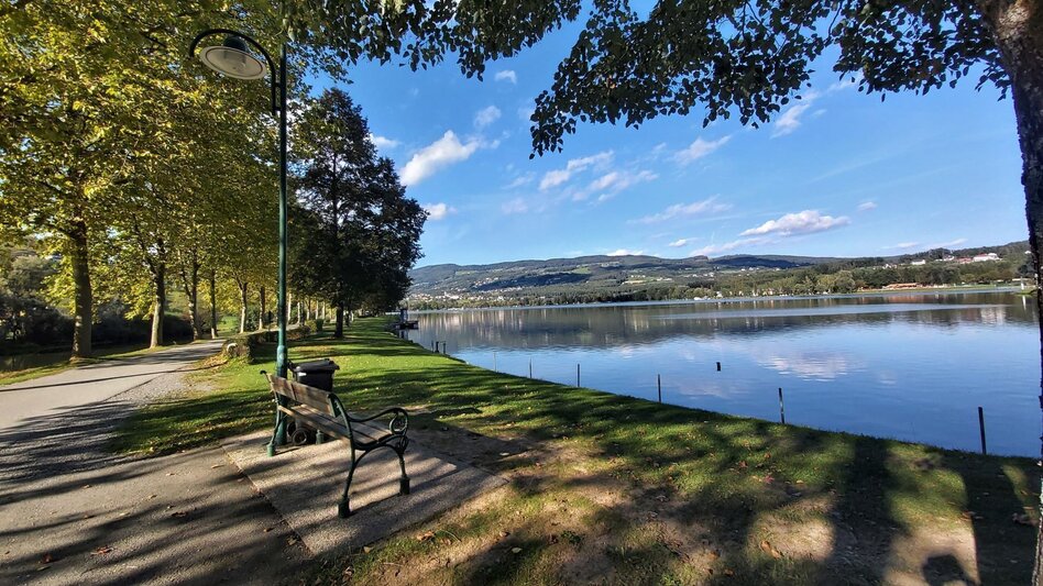 Radfahren Paradiesrunde, Stubenbergsee - Apfelland - Touren-Impression #2.3 | © Oststeiermark Tourismus