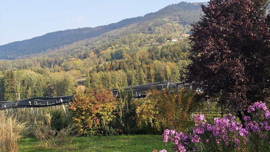 Radfahren Külml-Runde, Anger - Puch - Touren-Impression #2.5 | © Oststeiermark Tourismus