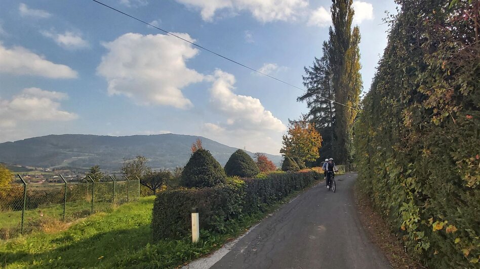 Radfahren Külml-Runde, Anger - Puch - Touren-Impression #2.8 | © Oststeiermark Tourismus