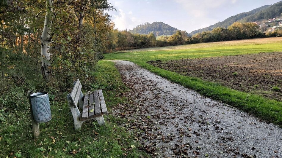 Radfahren Külml-Runde, Anger - Puch - Touren-Impression #2.14 | © Oststeiermark Tourismus