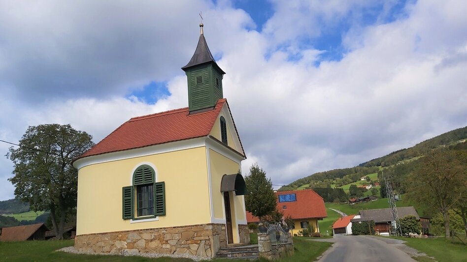 Radfahren Weizer Almenland-Radtour - Touren-Impression #2.2 | © Oststeiermark Tourismus