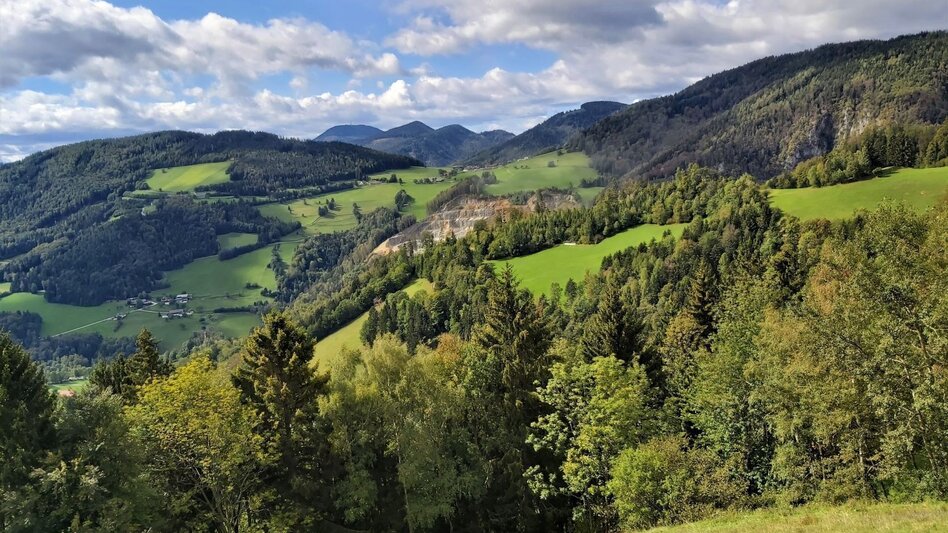 Radfahren Weizer Almenland-Radtour - Touren-Impression #2.3 | © Oststeiermark Tourismus