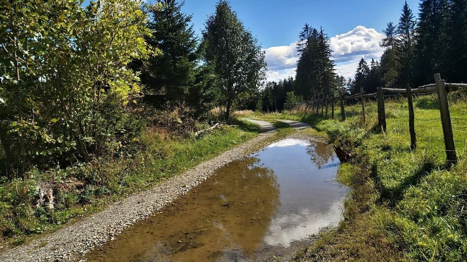 Radfahren Weizer Almenland-Radtour - Touren-Impression #2.4 | © Oststeiermark Tourismus