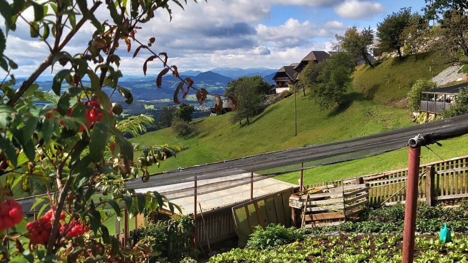 Radfahren Weizer Almenland-Radtour - Touren-Impression #2.7 | © Oststeiermark Tourismus