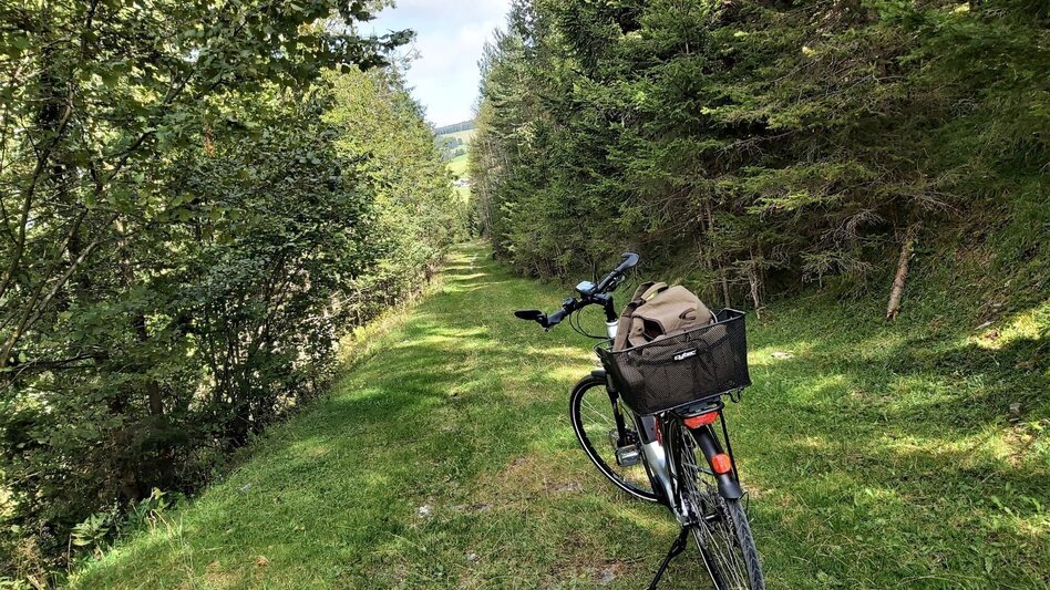 Radfahren Weizer Almenland-Radtour - Touren-Impression #2.6 | © Oststeiermark Tourismus