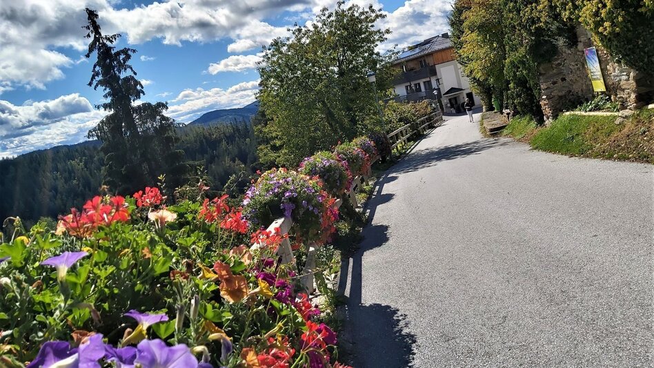 Radfahren Weizer Almenland-Radtour - Touren-Impression #2.12 | © Oststeiermark Tourismus