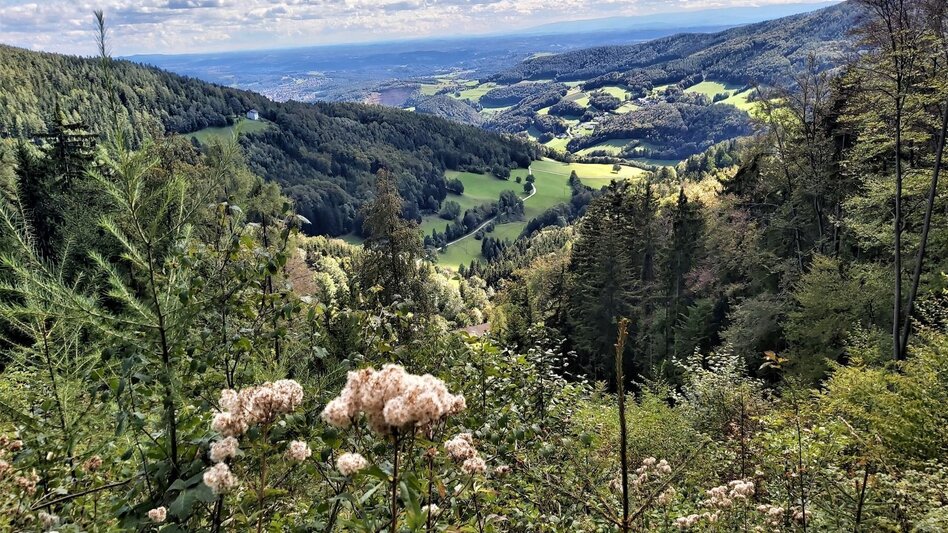 Radfahren Weizer Almenland-Radtour - Touren-Impression #2.15 | © Oststeiermark Tourismus